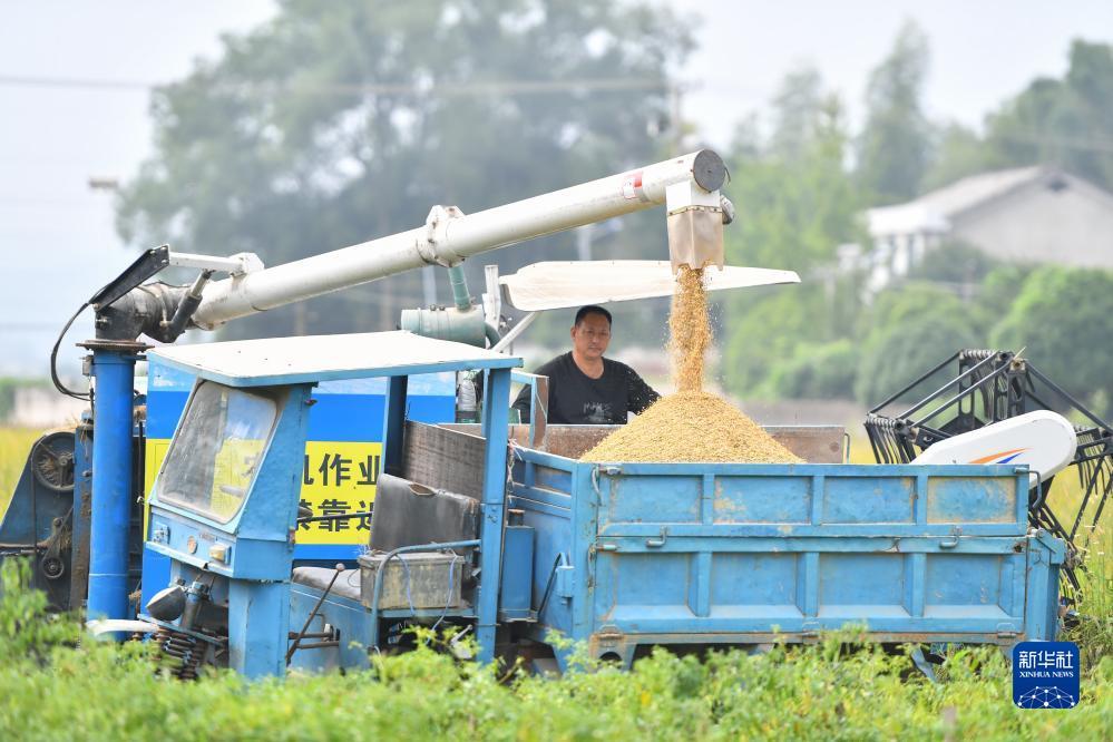 跳槽金优惠活动